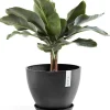 Ecopots plantenschotel Amsterdam donkergrijs D 28,7 H 3 cm