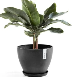 Ecopots plantenschotel Amsterdam donkergrijs D 28,7 H 3 cm