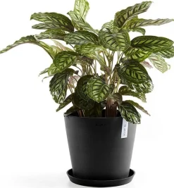 Ecopots plantenschotel Amsterdam donkergrijs D 28,7 H 3 cm