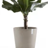 Ecopots plantenschotel Amsterdam taupe D 44,5 H 3,5 cm