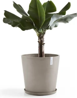 Ecopots plantenschotel Amsterdam taupe D 44,5 H 3,5 cm