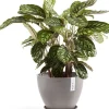 Ecopots plantenschotel Amsterdam taupe D 36,5 H 3,5 cm