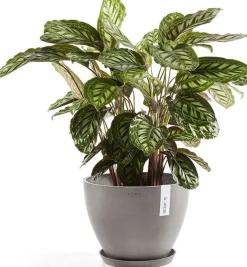 Ecopots plantenschotel Amsterdam taupe D 36,5 H 3,5 cm