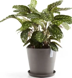 Ecopots plantenschotel Amsterdam taupe D 28,7 H 3 cm