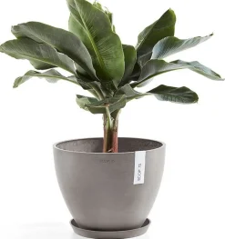 Ecopots plantenschotel Amsterdam taupe D 28,7 H 3 cm