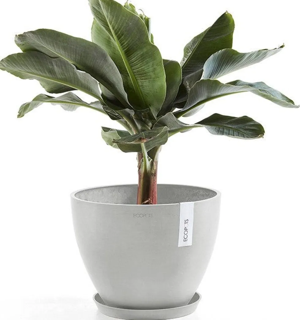 Ecopots plantenschotel Amsterdam wit grijs D 28,7 H 3 cm