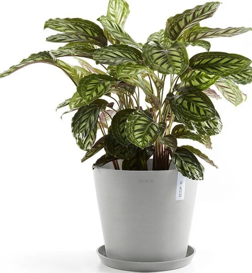 Ecopots plantenschotel Amsterdam wit grijs D 28,7 H 3 cm