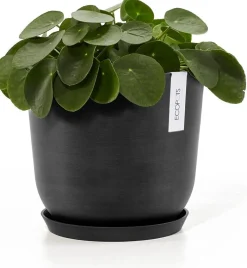 Ecopots plantenschotel Amsterdam donkergrijs D 21 H 2,5 cm
