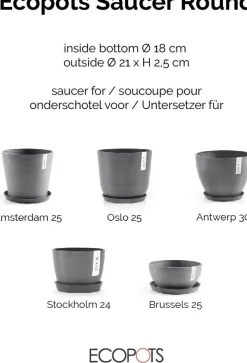 Ecopots plantenschotel Amsterdam grijs D 21 H 2,5 cm