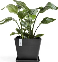 Ecopots plantenschotel Rotterdam donkergrijs 28 x 28 x 3 cm