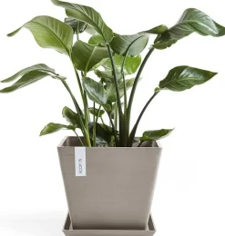 Ecopots plantenschotel Rotterdam taupe 28 x 28 x 3 cm