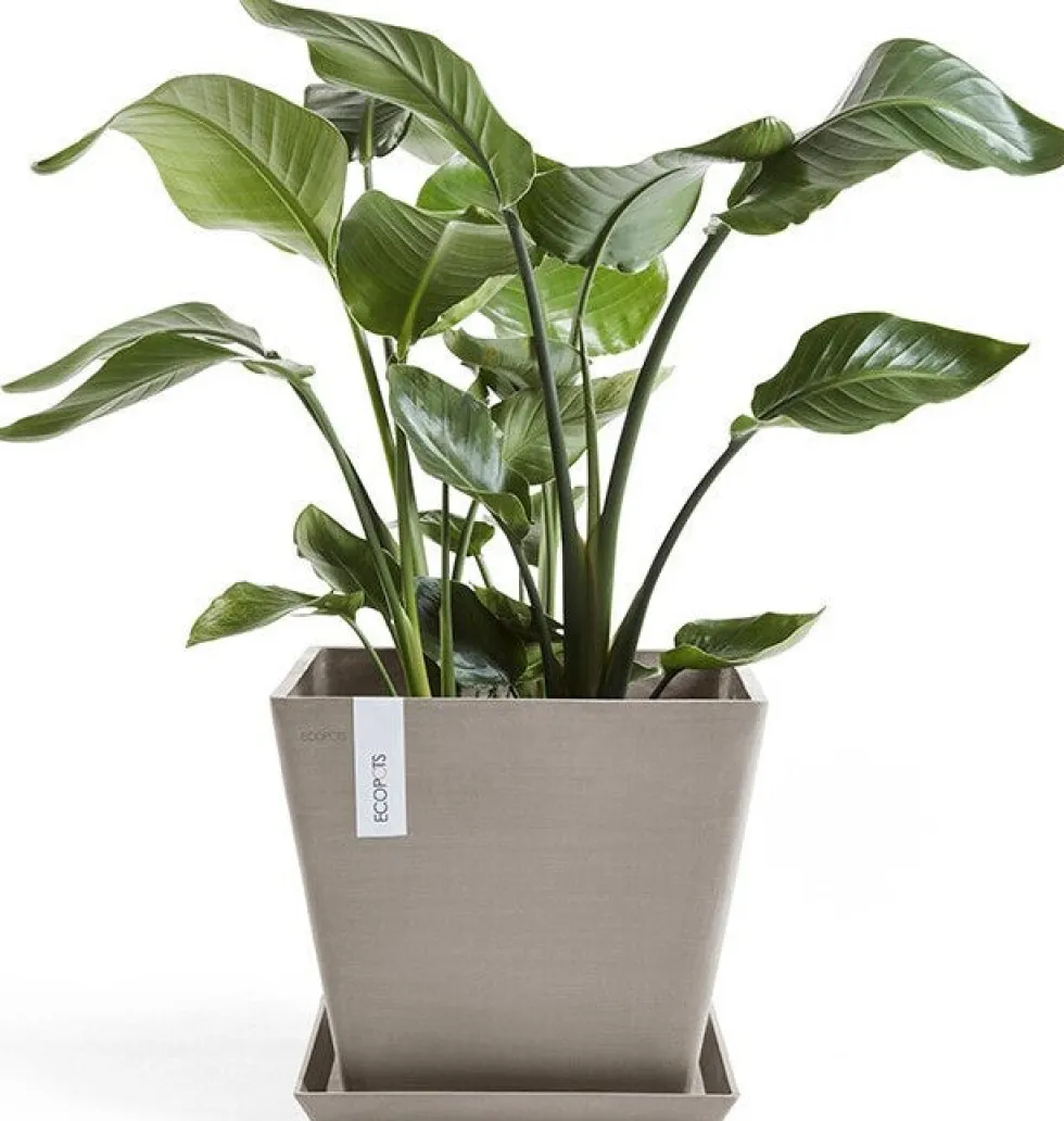 Ecopots plantenschotel Rotterdam taupe 28 x 28 x 3 cm