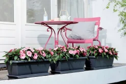 Elho balkonbak Barcelona antraciet 77,8 x 24,3 x 20,3 cm