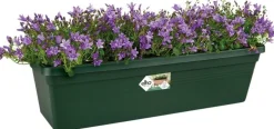 Elho balkonbak Green Basics groen 39,3 x 16,5 x 14 cm