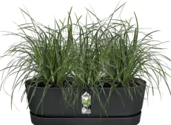 Elho balkonbak met waterreservoir Greenville zwart 52 x 21,2 x 19,4 cm