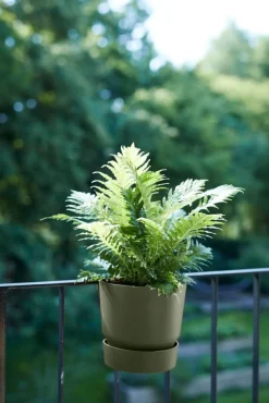 Elho balkonbak met waterreservoir Greenville groen D 25,1 H 23,7 cm