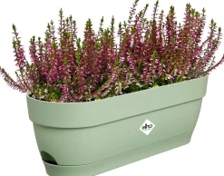 Elho balkonbak Vibia Campana groen 49 x 18,2 x 17 cm