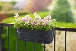 Elho balkonbak Vibia Campana antraciet 69 x 18,2 x 17 cm