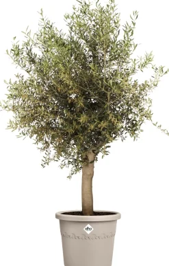 Elho bloempot Algarve beige D 40 H 33 cm