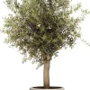 Elho bloempot Algarve beige D 35 H 29 cm