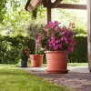 Elho bloempot Algarve terracotta D 29 H 34,5 cm