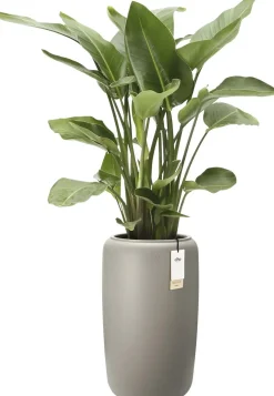 Elho bloempot Amber beige D 39 H 66 cm