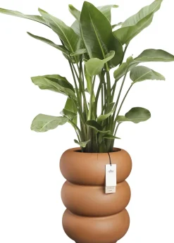 Elho bloempot Amber Roll bruin D 43 H 58 cm