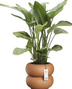 Elho bloempot Amber Roll bruin D 43 H 40 cm