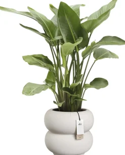 Elho bloempot Amber Roll wit D 43 H 40 cm