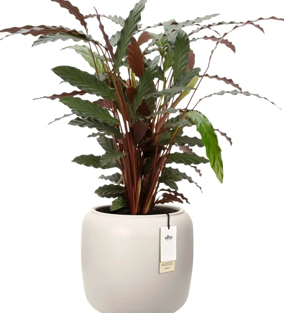 Elho bloempot Amber wit D 39 H 35 cm