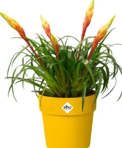 Elho bloempot B. for original geel D 9 H 8,5 cm