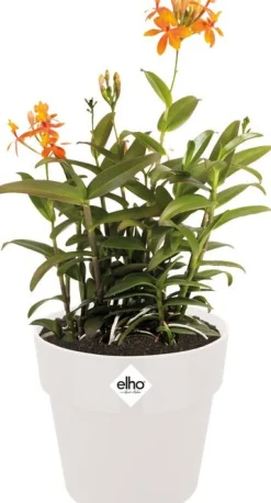 Elho bloempot B. for original wit D 29,5 H 27,3 cm