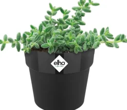 Elho bloempot B. for original zwart D 9 H 8,5 cm