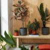 Elho bloempot B. for soft antraciet D 16 H 15 cm
