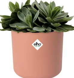 Elho bloempot B. for soft roze D 16 H 15 cm