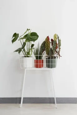 Elho bloempot B. for soft wit D 18,3 H 16,7 cm