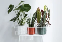 Elho bloempot B. for soft wit D 13,8 H 12,5 cm