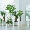 Elho bloempot B. for soft wit D 34,5 H 32,3 cm