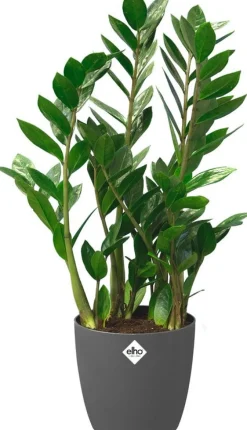 Elho bloempot Brussels antraciet D 39 H 36,5 cm