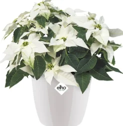 Elho bloempot Brussels diamond wit D 15,8 H 14,5 cm