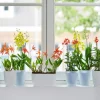 Elho bloempot Brussels orchidee wit 24,8 x 13,4 x 12 cm