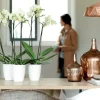 Elho bloempot Brussels orchidee wit D 12,5 H 15 cm