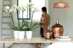 Elho bloempot Brussels orchidee wit D 12,5 H 15 cm