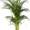 Elho bloempot Brussels wit D 20 H 18,7 cm