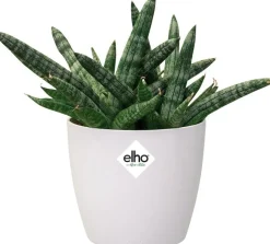Elho bloempot Brussels wit D 10 H 8,9 cm