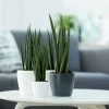 Elho bloempot Brussels wit D 11 H 9,7 cm