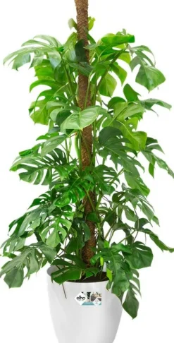 Elho bloempot Brussels wit D 39 H 36,5 cm