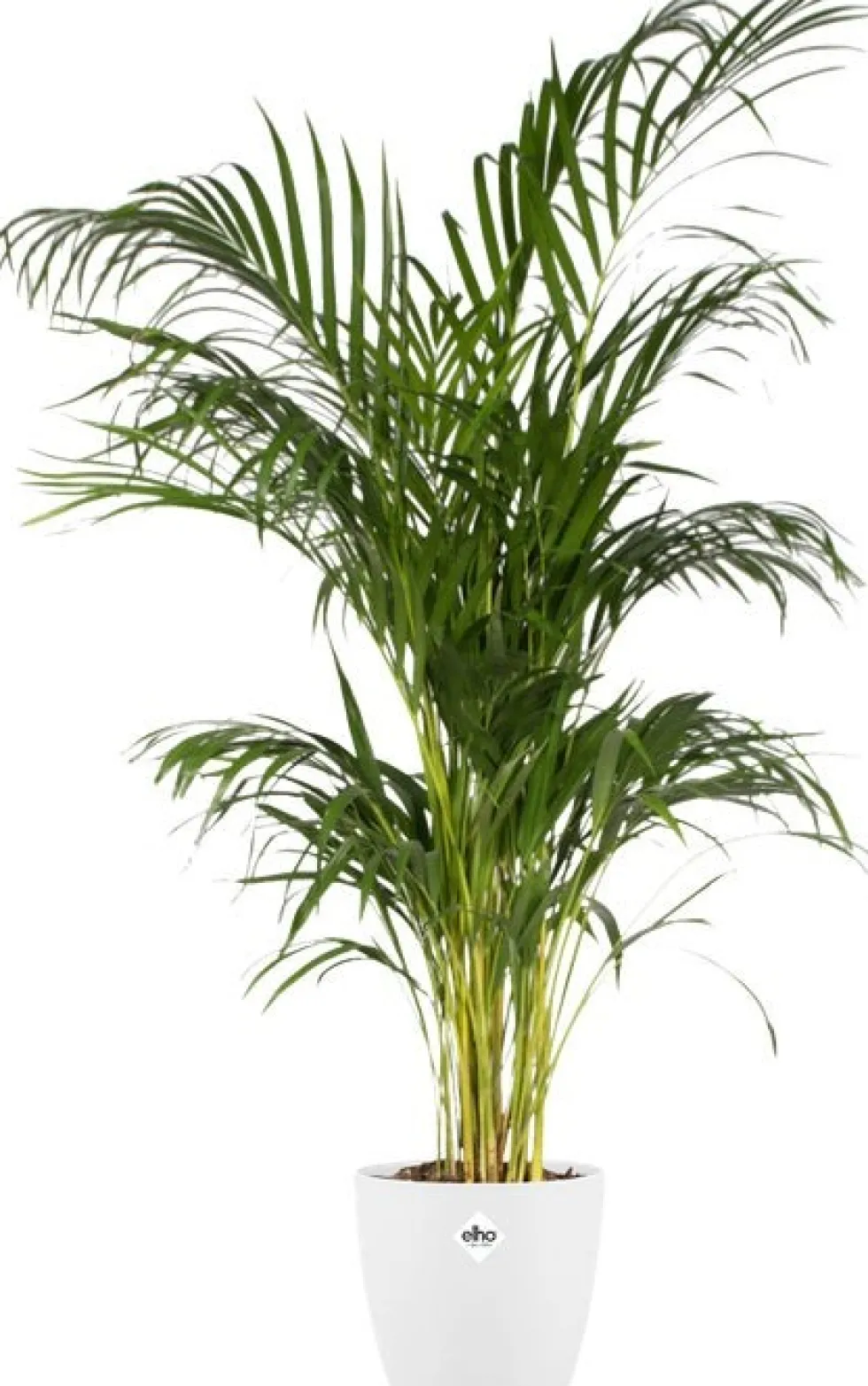 Elho bloempot Brussels wit D 22 H 20,6 cm