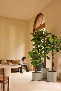 Elho bloempot Eden Aquacare taupe 39 x 39 x 50 cm