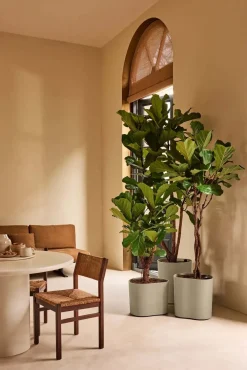 Elho bloempot Eden Aquacare taupe 40 x 40 x 35 cm